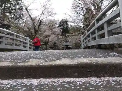 飛驒護國神社(岐阜県)