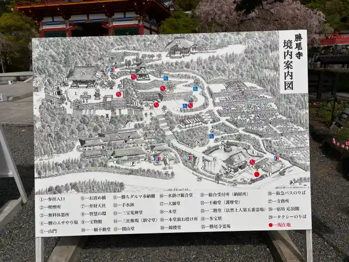 勝尾寺の{uncategorized: "未分類", other: "その他", undefined: "問題あり", building: "その他建物", grave: "お墓", sacred_gate: "鳥居", guardian: "狛犬", statue: "像", buddha: "仏像", history: "歴史", nature: "自然", garden: "庭園", animal: "動物", pagoda: "塔", temizu: "手水舎", mountain_gate: "山門・神門", sanctuary: "本殿・本堂", subordinate: "末社・摂社", art: "芸術", scenery: "景色", jizo: "地蔵", ema: "絵馬", goshuin: "御朱印", omikuji: "おみくじ", items: "授与品その他", amulet: "お守り", goshuincho: "御朱印帳", eats: "食事", festival: "お祭り", votive_dance: "神楽", shichigosan: "七五三参", wedding: "結婚式", experience: "体験その他", initially: "初詣", around: "周辺", anti_infection: "感染症対策"}