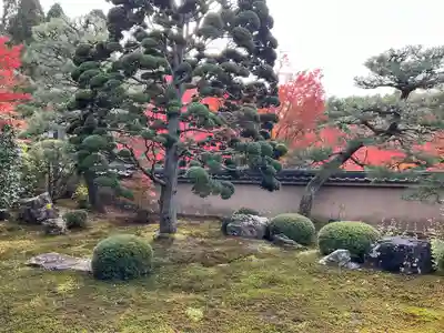 天得院(京都府)