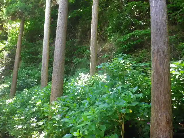 御霊神社の自然