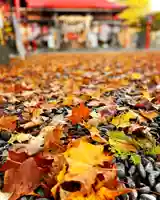 伊達神社(北海道)