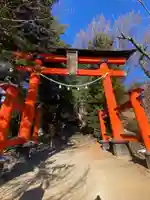新倉富士浅間神社の鳥居