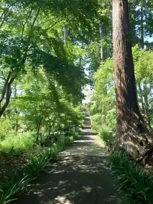 八幡宮(茨城県)