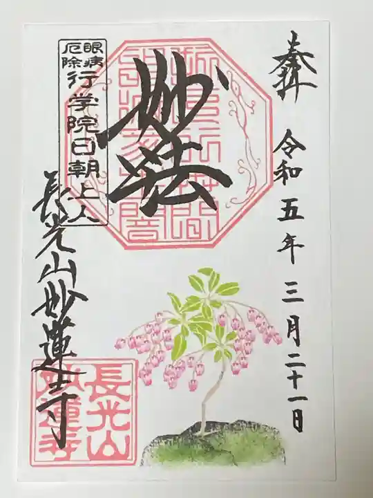 妙蓮寺の御朱印