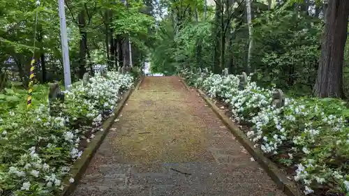 高台寺の庭園