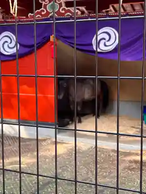 神田神社（神田明神）(東京都)