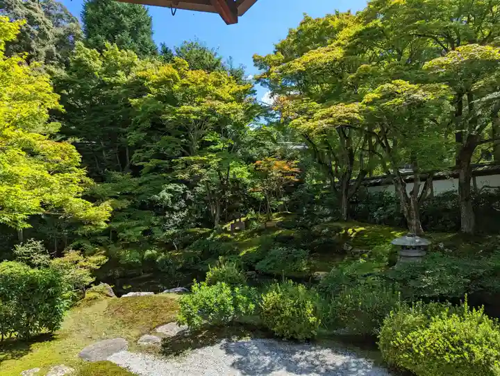 御寺 泉涌寺(京都府)