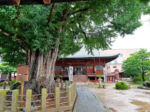 飛騨国分寺(岐阜県)