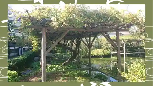 亀戸天神社(東京都)