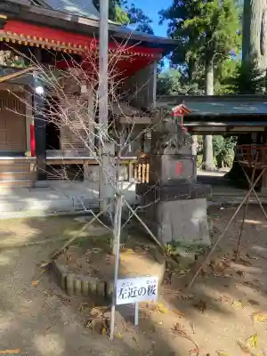 山倉大神(千葉県)