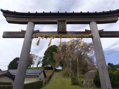 八幡宮社(京都府)