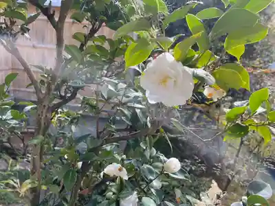 伊勢の国 四天王寺(三重県)