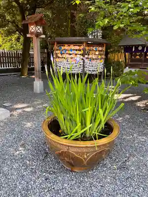 阿佐ヶ谷神明宮(東京都)