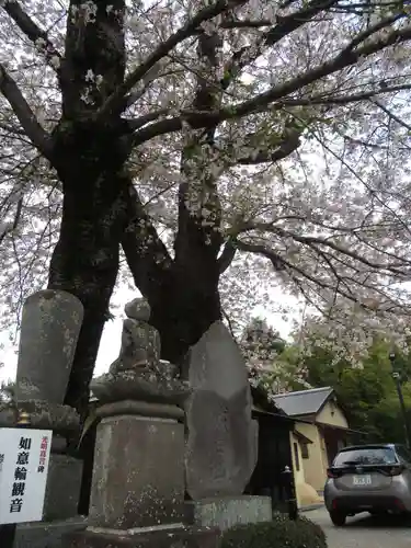 真光寺(千葉県)