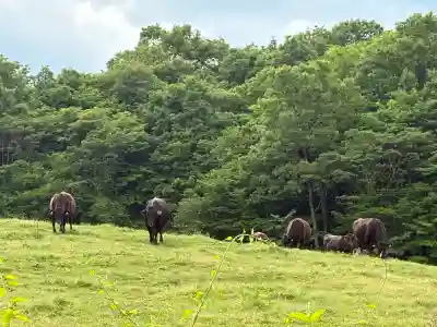 荒戸神社(岡山県)