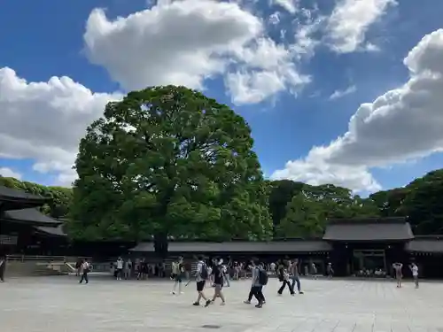 明治神宮(東京都)
