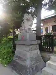 上平井天祖神社の狛犬