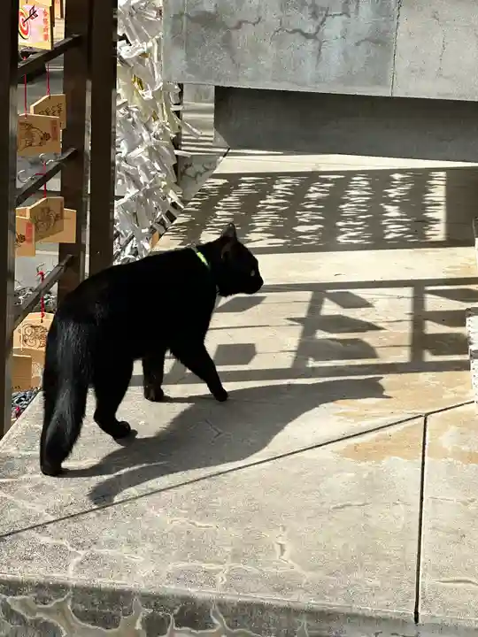 白山神社(東京都)