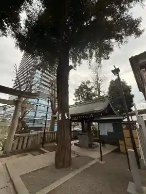 居木神社の{uncategorized: "未分類", other: "その他", undefined: "問題あり", building: "その他建物", grave: "お墓", sacred_gate: "鳥居", guardian: "狛犬", statue: "像", buddha: "仏像", history: "歴史", nature: "自然", garden: "庭園", animal: "動物", pagoda: "塔", temizu: "手水舎", mountain_gate: "山門・神門", sanctuary: "本殿・本堂", subordinate: "末社・摂社", art: "芸術", scenery: "景色", jizo: "地蔵", ema: "絵馬", goshuin: "御朱印", omikuji: "おみくじ", items: "授与品その他", amulet: "お守り", goshuincho: "御朱印帳", eats: "食事", festival: "お祭り", votive_dance: "神楽", shichigosan: "七五三参", wedding: "結婚式", experience: "体験その他", initially: "初詣", around: "周辺", anti_infection: "感染症対策"}