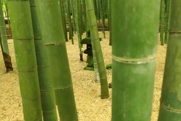報国寺(神奈川県)