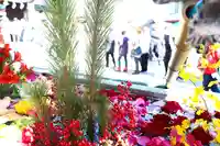 三津厳島神社の手水舎