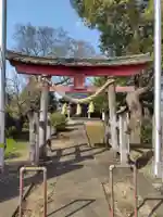諏訪神社(埼玉県)