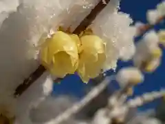 清水寺の自然