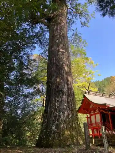 十根川神社(宮崎県)
