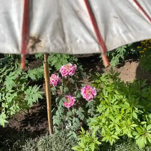 上野東照宮(東京都)