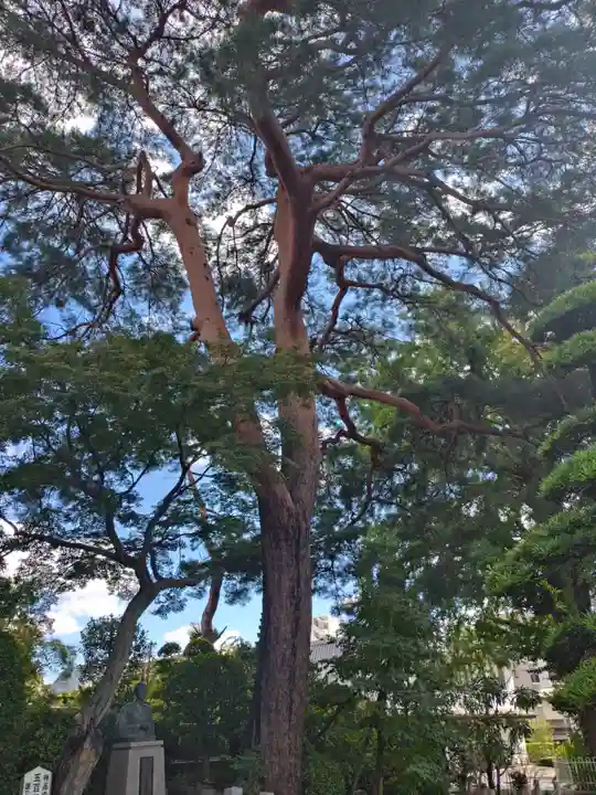 禅林寺(東京都)