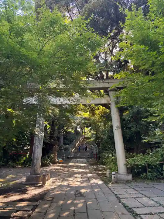 赤坂氷川神社の{uncategorized: "未分類", other: "その他", undefined: "問題あり", building: "その他建物", grave: "お墓", sacred_gate: "鳥居", guardian: "狛犬", statue: "像", buddha: "仏像", history: "歴史", nature: "自然", garden: "庭園", animal: "動物", pagoda: "塔", temizu: "手水舎", mountain_gate: "山門・神門", sanctuary: "本殿・本堂", subordinate: "末社・摂社", art: "芸術", scenery: "景色", jizo: "地蔵", ema: "絵馬", goshuin: "御朱印", omikuji: "おみくじ", items: "授与品その他", amulet: "お守り", goshuincho: "御朱印帳", eats: "食事", festival: "お祭り", votive_dance: "神楽", shichigosan: "七五三参", wedding: "結婚式", experience: "体験その他", initially: "初詣", around: "周辺", anti_infection: "感染症対策"}
