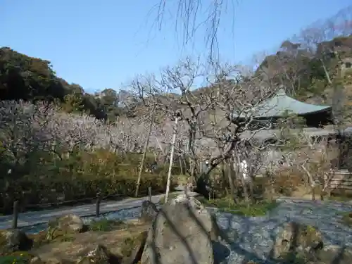 瑞泉寺の庭園