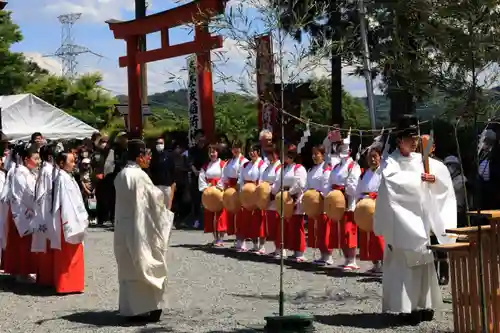 高屋敷稲荷神社のお祭り