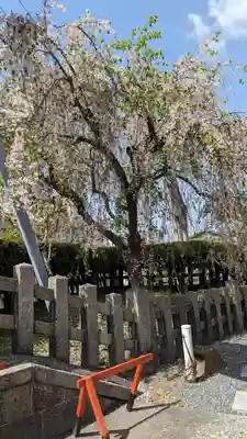 六孫王神社(京都府)