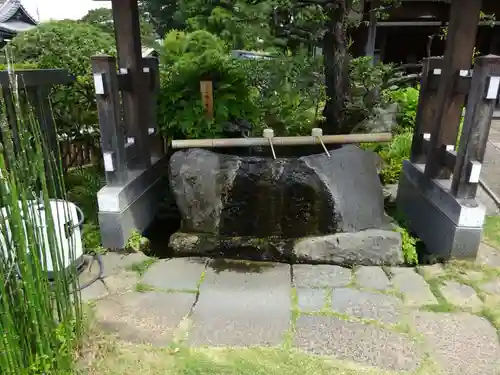 妙蓮寺の手水舎