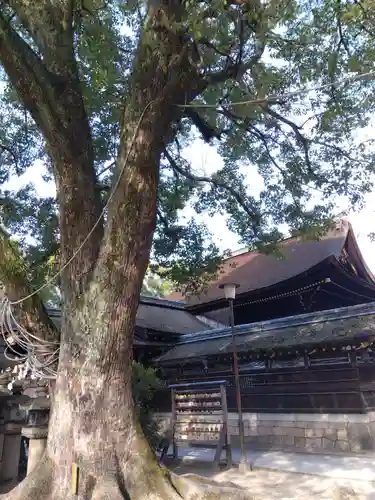 藤森神社(京都府)