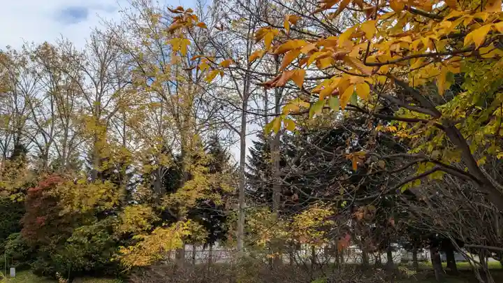 風連神社の自然