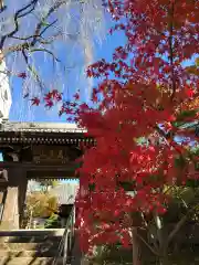 法輪寺の山門