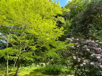 円通院(宮城県)