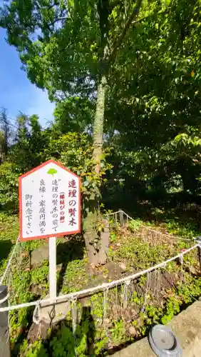 大汝牟遅神社の{uncategorized: "未分類", other: "その他", undefined: "問題あり", building: "その他建物", grave: "お墓", sacred_gate: "鳥居", guardian: "狛犬", statue: "像", buddha: "仏像", history: "歴史", nature: "自然", garden: "庭園", animal: "動物", pagoda: "塔", temizu: "手水舎", mountain_gate: "山門・神門", sanctuary: "本殿・本堂", subordinate: "末社・摂社", art: "芸術", scenery: "景色", jizo: "地蔵", ema: "絵馬", goshuin: "御朱印", omikuji: "おみくじ", items: "授与品その他", amulet: "お守り", goshuincho: "御朱印帳", eats: "食事", festival: "お祭り", votive_dance: "神楽", shichigosan: "七五三参", wedding: "結婚式", experience: "体験その他", initially: "初詣", around: "周辺", anti_infection: "感染症対策"}