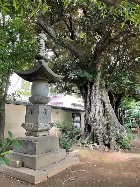 天王寺(東京都)