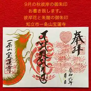 一条山宝蓮寺(愛知県)(2024年08月18日(日) 18時56分37秒投稿)