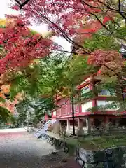 談山神社(奈良県)