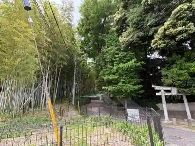 久地神社の{uncategorized: "未分類", other: "その他", undefined: "問題あり", building: "その他建物", grave: "お墓", sacred_gate: "鳥居", guardian: "狛犬", statue: "像", buddha: "仏像", history: "歴史", nature: "自然", garden: "庭園", animal: "動物", pagoda: "塔", temizu: "手水舎", mountain_gate: "山門・神門", sanctuary: "本殿・本堂", subordinate: "末社・摂社", art: "芸術", scenery: "景色", jizo: "地蔵", ema: "絵馬", goshuin: "御朱印", omikuji: "おみくじ", items: "授与品その他", amulet: "お守り", goshuincho: "御朱印帳", eats: "食事", festival: "お祭り", votive_dance: "神楽", shichigosan: "七五三参", wedding: "結婚式", experience: "体験その他", initially: "初詣", around: "周辺", anti_infection: "感染症対策"}