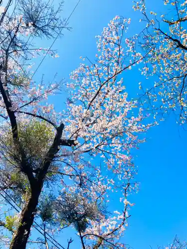 愛宕神社(茨城県)