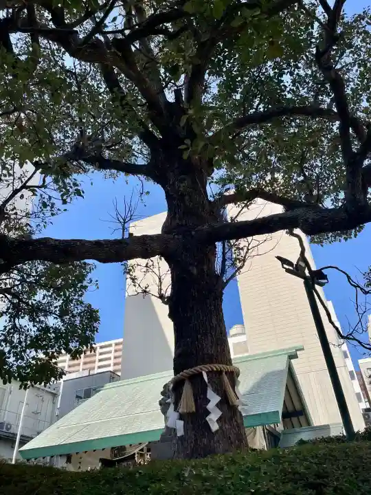 城岡神社の{uncategorized: "未分類", other: "その他", undefined: "問題あり", building: "その他建物", grave: "お墓", sacred_gate: "鳥居", guardian: "狛犬", statue: "像", buddha: "仏像", history: "歴史", nature: "自然", garden: "庭園", animal: "動物", pagoda: "塔", temizu: "手水舎", mountain_gate: "山門・神門", sanctuary: "本殿・本堂", subordinate: "末社・摂社", art: "芸術", scenery: "景色", jizo: "地蔵", ema: "絵馬", goshuin: "御朱印", omikuji: "おみくじ", items: "授与品その他", amulet: "お守り", goshuincho: "御朱印帳", eats: "食事", festival: "お祭り", votive_dance: "神楽", shichigosan: "七五三参", wedding: "結婚式", experience: "体験その他", initially: "初詣", around: "周辺", anti_infection: "感染症対策"}