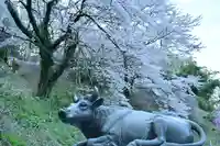 菅原神社(新潟県)