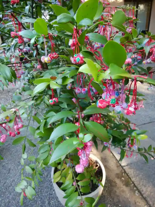 赤坂氷川神社(東京都)