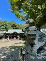 畑子安神社の狛犬