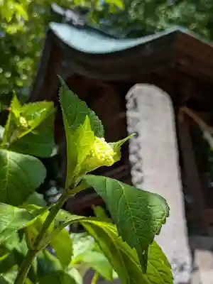 三津厳島神社(愛媛県)